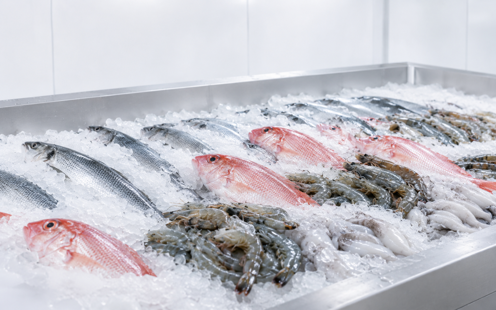 Seafood Processing Cooling