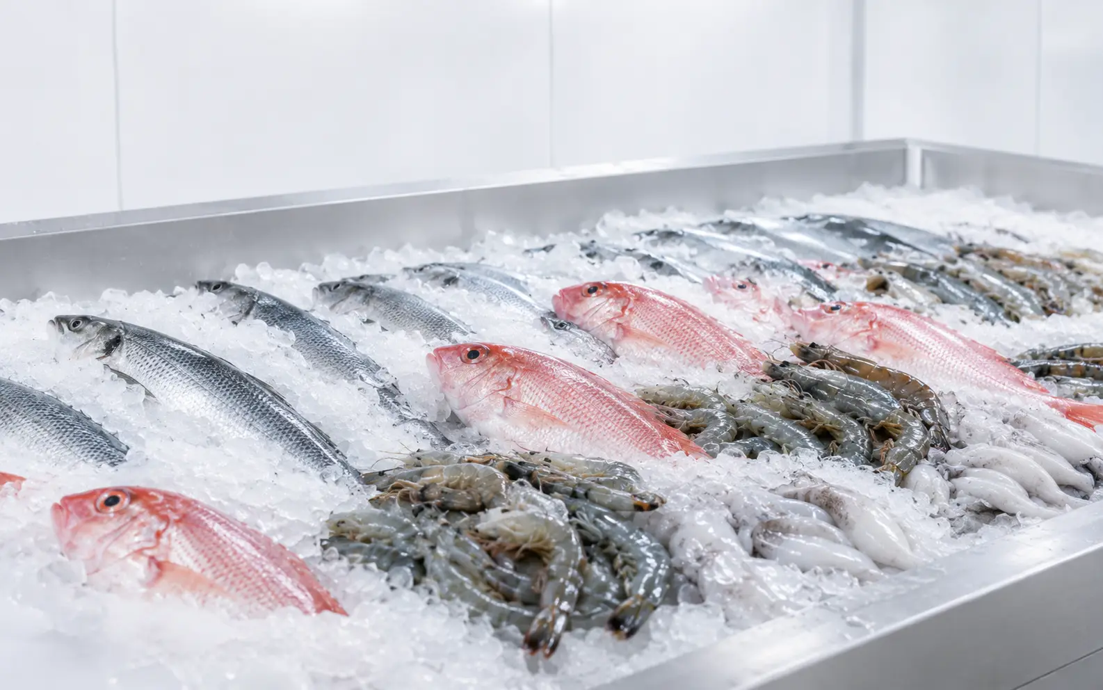 Seafood Processing Cooling